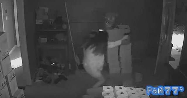 Полицейские города Атланты (штат Джорджия) разместили 5-минутный видео ролик в интернете с просьбой помочь разыскать двоих налётчиков, которые вломились в частное владение, но получили достойный отпор со стороны хозяйки жилища.